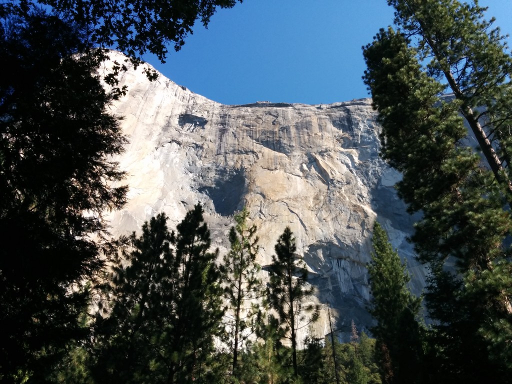 View of El Capitan from the base